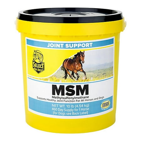 Select The Best MSM Joint Support for Horses 10 (Best Foods For Gout Relief)