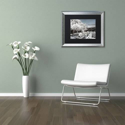 Trademark Fine Art "Reflection" Canvas Art by Philippe Hugonnard, Black Matte, Silver Frame