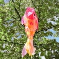 thumbnail image 2 of In the Breeze 5278 — 48-inch Iridescent Hot Damsel Fish Windsock — Vibrant, Shiny Windsock with Applique Details, 2 of 4