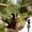 Black, variant on Acrylic Forest Deer Garden Stake, Waterproof Outdoor Yard Art Decoration with Woodland Theme, Easy Install Lawn Ornament