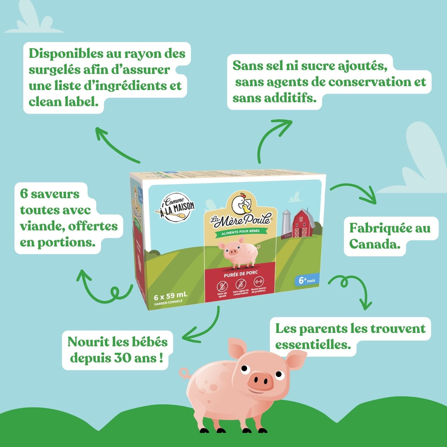 La Mère Poule Purée Repas de Porc Bébé Étape 1, Sans Sel ni Sucre Ajouté, 6 × 59 ml