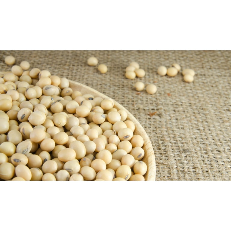 Organic Soya Bean/400g - CHIN FONG SUPPLY CHAIN