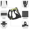 thumbnail image 6 of Gaeub Watercolor St Patrick Day Gaeub Watercolor St Patrick Day No Pull Dog Harness, Secure and Adjustable Pet Vest for Outdoor Activities - Medium, 6 of 8