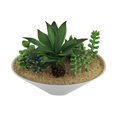 thumbnail image 5 of Set of 2 Artificial Succulent Plants in Oval Ceramic Dish Planters, 5 of 5