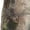 Mossy Oak Terra Gila, variant on Mossy Oak Youth 6-Pocket Cargo Hunting Pants in Bottomland Camouflage, L