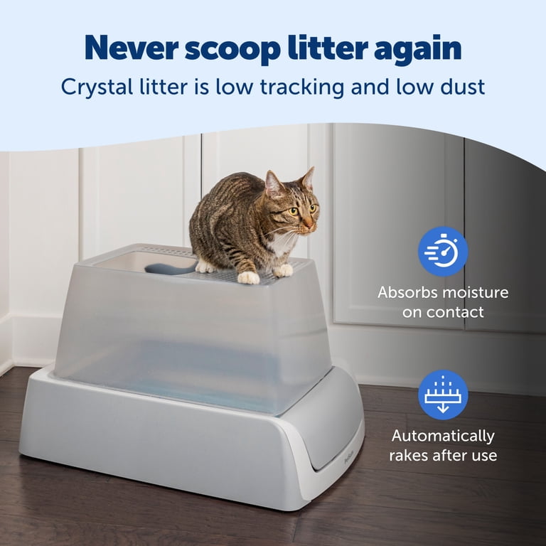 automatic water bowl for large dogs Automatic Dog Water Bowl Dispenser, 8L Gravity Cat Water Dispenser wit   Nityers