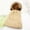 Beige, variant on Cable patter knit hat for winter Women men soft breathable pom pom beanie cap Thick warm Woo knitted hat Skullcap gorros