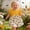 czb# Orange39, variant on CUZIBR Girls Dresses Casual Denim A-Line Sleeveless Ruffles Cartoon Print Cute Round Neck Flutter Sleeve Denim Overalls Dress For Kids Fashionable Loose Dailywear Easter Dress,Yellow,9-12 Months