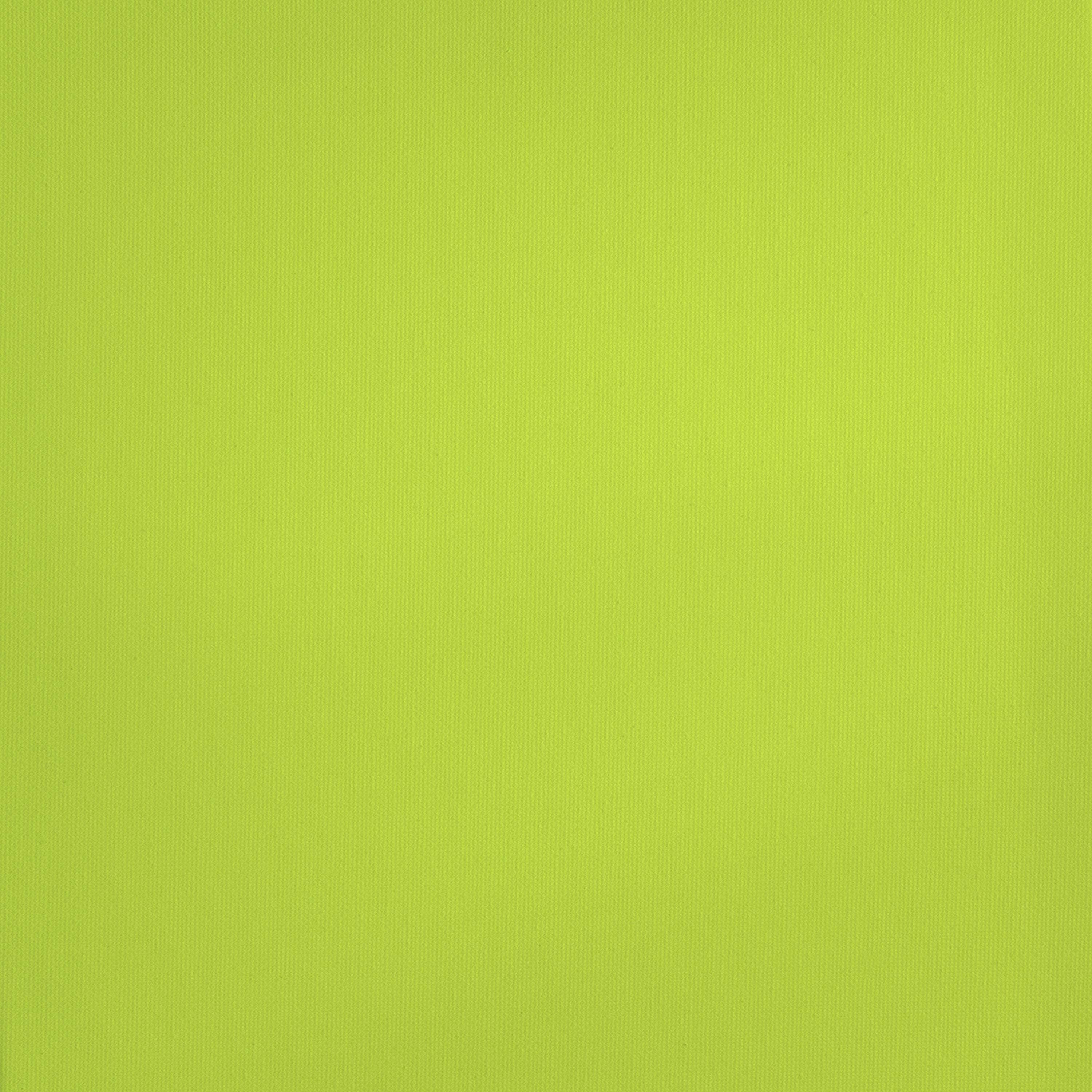 (2 pack) Royal & Langnickel Essentials 120ml Bright Yellow Green Acrylic Artist Paint