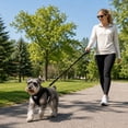 thumbnail image 6 of Dog Harness, Breathable Mesh No Pull Black X-Small, 1 Pack Reflective Step In Pet Vest Harness with Leash Set, for Walking Training Outdoor Activities for Small Puppy Cats Pets, 6 of 7