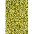 thumbnail image 3 of ZARA Hand Woven ZAR-14511 Rectangular 9’ x 13’ Area Rug WL-2728-CR, 3 of 5