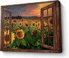 Sunflower 1
