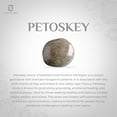 thumbnail image 5 of Natural Petoskey Round Shape Pendant Necklace in Sterling Silver for Women with 18-inch Adj. Chain, Special Birthstone Jewelry for Her Birthday, Wedding Anniversary, Christmas, Mothers Day, 5 of 6