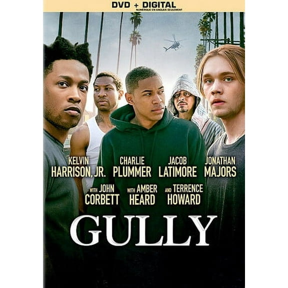 Gully (DVD)
