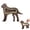 Brown, variant on HoneatMatter Pet Memorial Box, Wooden Dog Shape Fur Storage Container, Customizable Keepsake Box for Pet Hair Ashes, Sympathy Gift for Pet Loss, Black