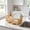Coffee, variant on Dish Drying Rack, Plastic Dish Racks for Kitchen Counter with Cutlery Slot & Removable Drip Tray, Large Tableware Storage Organizer, Multiple Colors Available, 1 Pack.Coffee