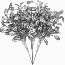 Gold Leaves Decorations for Christmas Artificial Golden Plants Fake Leaf - 17 Inch 5 Pack, Faux Foliage Simulation Flowers Grass Xmas Decor Plant Bushes Indoor Outdoor Wedding Table Centerpiece DIY A