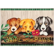 Wipe Your Paws Olivia's Home Accent Washable Rug 22" x 32" PR2-GG5002