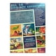 thumbnail image 2 of Pie Pequeño Busca Valle Encantado 14 Peliculas DVD Universal, 2 of 2