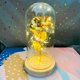 thumbnail image 1 of Cubierta de vidrio Simulación de flor de lámina de oro Rosa Luz LED Flor eterna Regalo del día de San Valentín Día de la madre Adornos creativos, 1 of 6