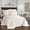 Ivory, variant on Charleston Estate Floral Matelasse Coverlet, 100% Cotton, Scalloped Edges, King/Cal King, White - Breathable Farmhouse Bedding