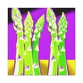 thumbnail image 1 of Asparagus Pop Explosion - Canvas, 1 of 10