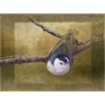 thumbnail image 2 of Vest, Chris 18x15 Black Ornate Wood Framed with Double Matting Museum Art Print Titled - Nuthatch, 2 of 4
