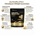 thumbnail image 5 of Natural Himalayan Shilajit Gummies 3000mg with Ashwagandha, Ginger & Turmeric, Wellness Supplement, Pack 4, 5 of 7