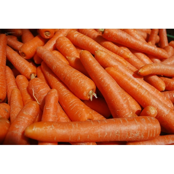 Vegetable Seeds - Kuroda Carrot-500 Heirloom Seeds