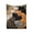 B, variant on B Flannel Fleece Throw Blanket Sleeping Cats Print Cute Multi Color For Home Bed Sofa Couch 59.0X39.3 In 100% Polyester