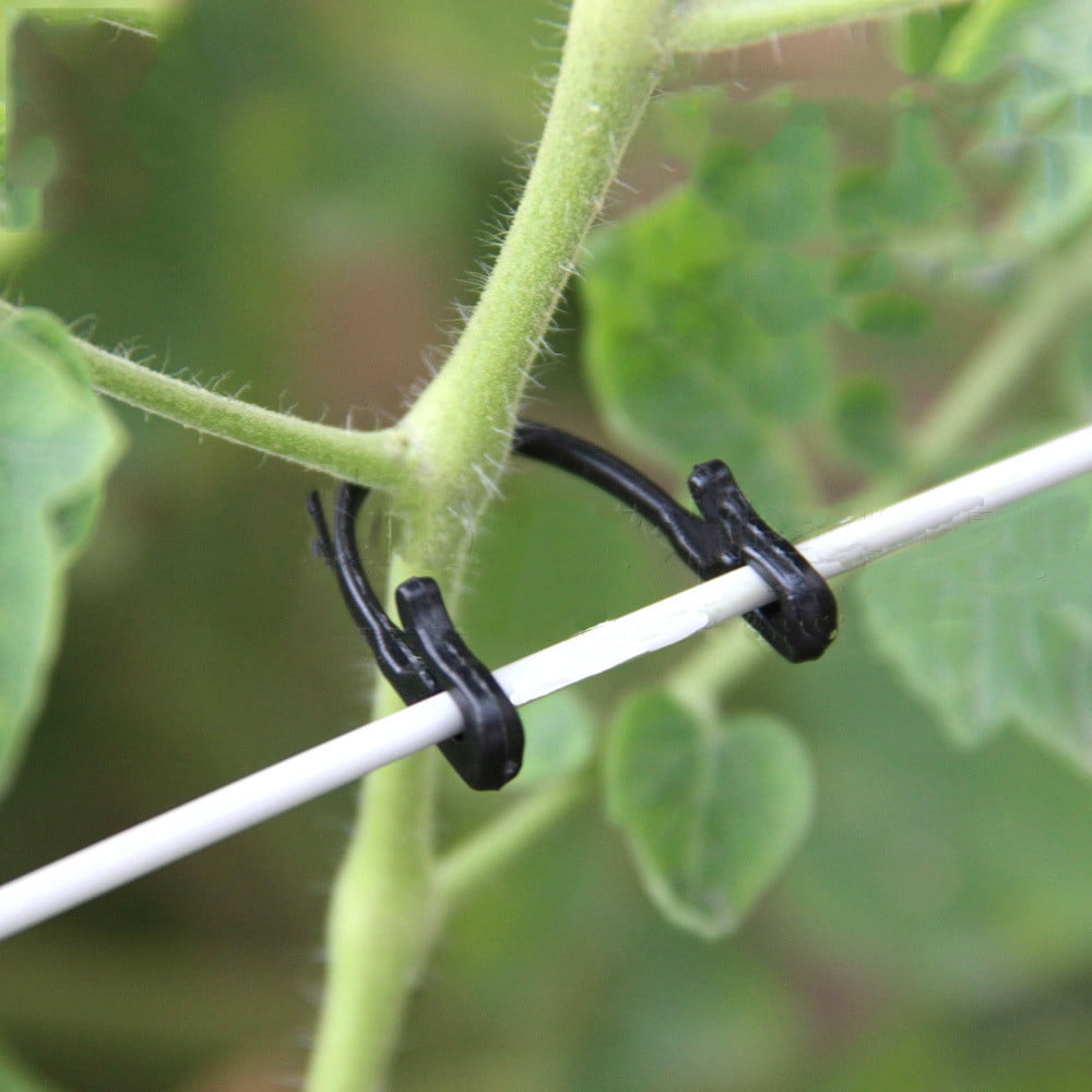 Tiitstoy Fruit Grape Tomato Fixed Buckle Garden Flower Vegetable Plant Support