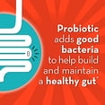 thumbnail image 4 of Suplemento Align Probiotic Digestive De-stress 21 cápsulas, 4 of 8