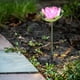 thumbnail image 5 of Lámpara LED de jardín con forma de loto rosa elegante que funciona con energía solar para uso en exteriores, 5 of 8