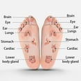 thumbnail image 4 of Acupressure Reflexology Socks with Trigger Point Massage Tool, Reflexology Foot Massage Socks for Women and Men, Foot Reflexology Socks with Massage T, 4 of 5