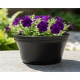 thumbnail image 3 of Austin Planter 7" Round Black Plastic Plant Pot with Drainage Holes, 3 of 8