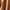 Brown, variant on BLVB Women Comfy Pajama Shorts Sleepwear Soft Ribbed Sleep Lounge Shorts Summer Pjs Bottoms with Pockets