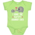 thumbnail image 3 of Inktastic Grandkids Best Grammy Ever Boys or Girls Baby Bodysuit, 3 of 5