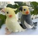 thumbnail image 2 of Simulación suave Mini tamaño realista cacatúa gris juguetes de peluche vida Real suave loro amarillo pájaros animales de peluche muñecas de juguete regalos, 2 of 5