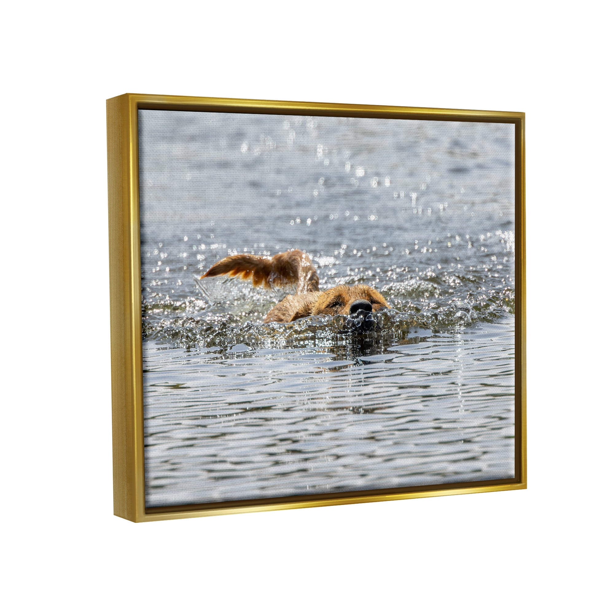 Stupell Industries Dog Swimming in Ocean Animals & Insects Photography Gold Floater Framed Canvas Art Print Wall Art, 21 x 17