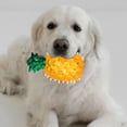 thumbnail image 2 of FRCOLOR Pet Toy for Playing Assorted Color Biting Resistant Easy to Clean 2pcs, 2 of 8