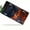 Fiery eyed Wolf, variant on License Plate, Galloping Horses Decorative Front,Personalized Stainless Steel License Plate Cover For Men Women,12.2" X 6.2"