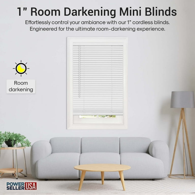 PowerSellerUSA 1 Slats Cordless Window Blinds, 64L x 48W Inches Solid  Pattern Light Filtering Vinyl Indoor-Outside Ceiling Mount Mini Blind,  Manual Cordless Rollup Window Privacy Blinds, Gray 