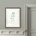 thumbnail image 4 of Wexford Home Soft Eucalyptus Branch IV-Framed Print - Espresso - 16X22, 4 of 4