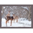 thumbnail image 3 of Card-Boxed-Shared Blessings-Christmas-Assorted/Deer In Winter (Box Of 12), 3 of 10