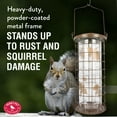 thumbnail image 5 of Perky-Pet Brass Squirrel Stumper Wild Bird Tube Feeder - 3 lb Capacity, 5 of 9