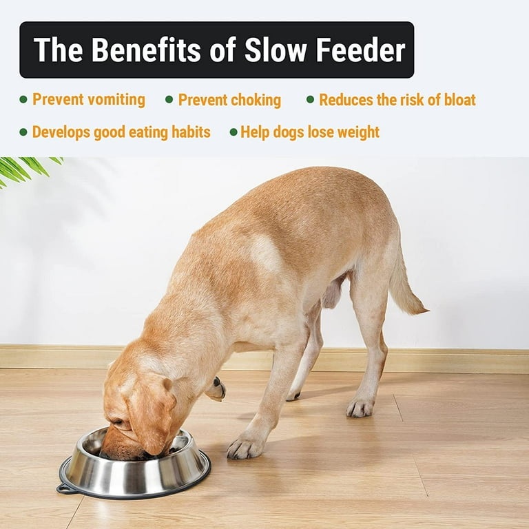 Raised Dog Bowls  Benefits, Best Height, Bloat