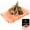 Large 12X8, variant on Food Grade Pink Himalayan Salt Block – Cooking, Grilling, Serving Plate with Stainless Steel Tray & Recipe Booklet, Unique Gift for Men & Women