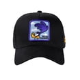 thumbnail image 2 of Gorra Ajustable El Correcaminos Looney Tunes T-max, 2 of 4