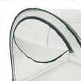 thumbnail image 4 of True Shelter GH68 6 x 8 Foot Portable Steel Frame & Polyethylene Greenhouse Kit, 4 of 9