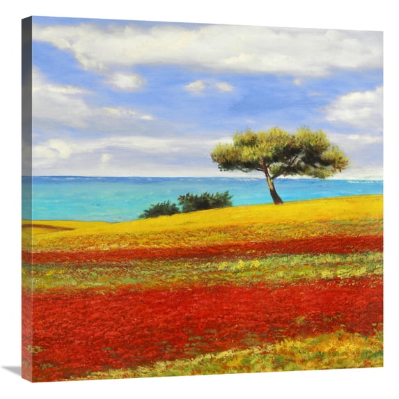 Global Gallery's 'Mediterraneo II' by Angelo Masera Stretched Canvas Wall Art
